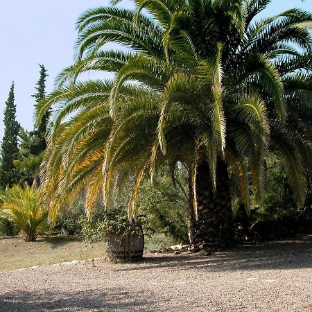 Catalunya Casas Rural Charm On An Olive Farm In Costa Dorada! Vespella de Gaia Exterior photo