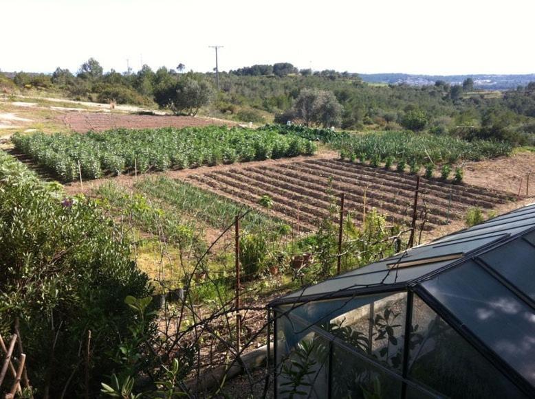 Catalunya Casas Rural Charm On An Olive Farm In Costa Dorada! Vespella de Gaia Exterior photo